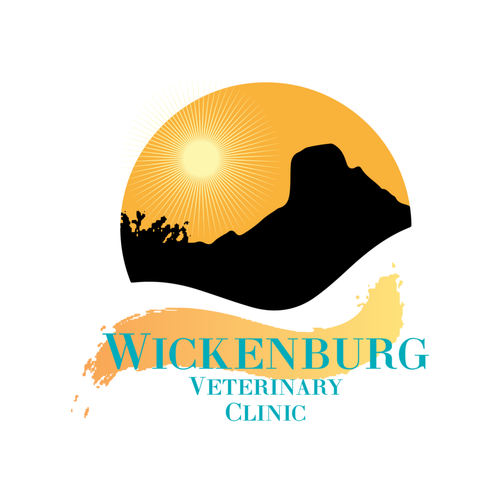 About Wickenburg Veterinary Clinic Vet In Wickenburg, AZ