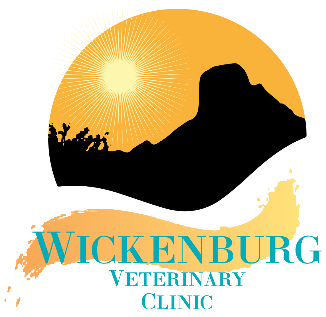 Wickenburg Veterinary Clinic