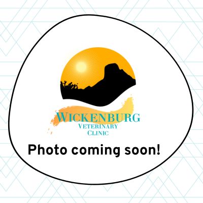 Coming Soon Photo Coming Soon